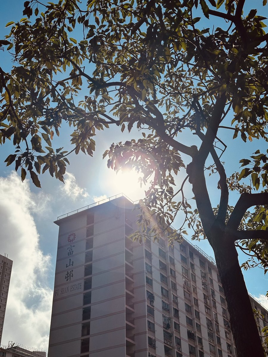 𝗸𝗲𝗲𝗽.𝗶𝘁.𝘀𝗲𝗰𝗿𝗲𝘁💭 tweet media