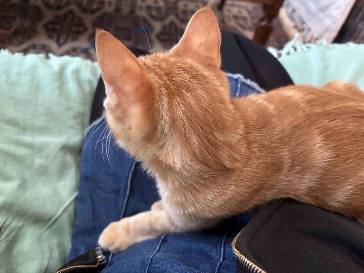 Front_rial's tweet image. あぁ〜💕🫶🫶🫶