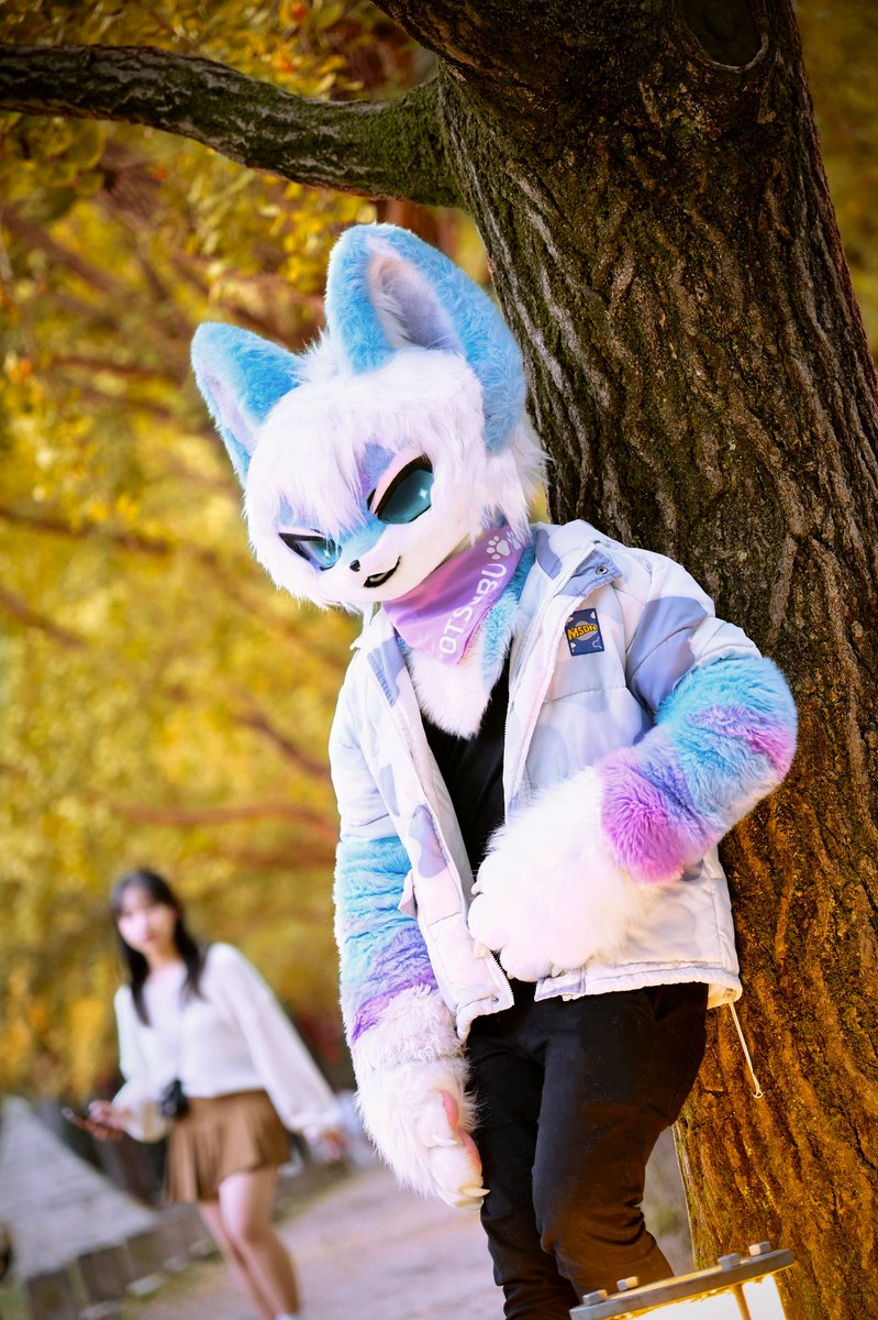 Sorry, Did I make you wait too long? 🍂 

📸 by <a href="/guni1636/">그니 GUNI</a> 
#FursuitEveryday