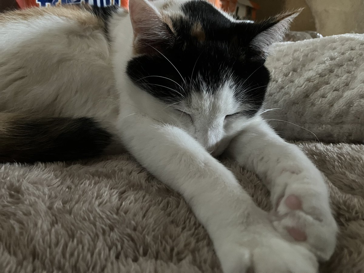 gigaburu1985's tweet image. 添い寝