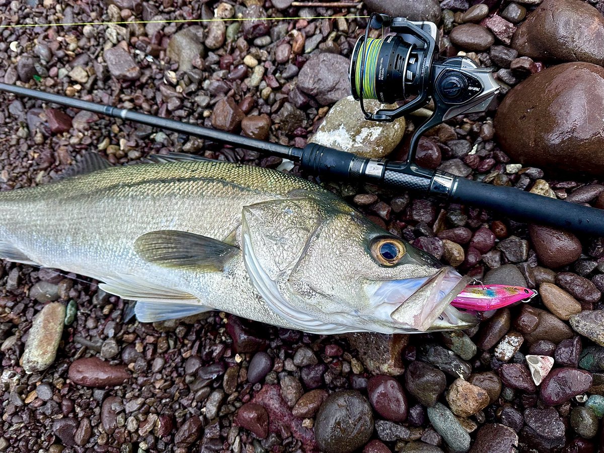 釣り人 釣り人 ZEXUS公式サイト | ゼクサス