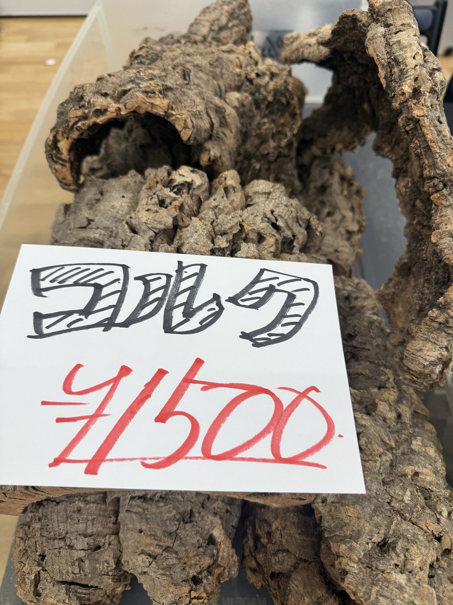 レオパフェスの準備完了しました！
イエコオロギとコルクを持ってきています🦗

是非お買い求めください✨

#レオパフェス
#LeopardGeckoFestival