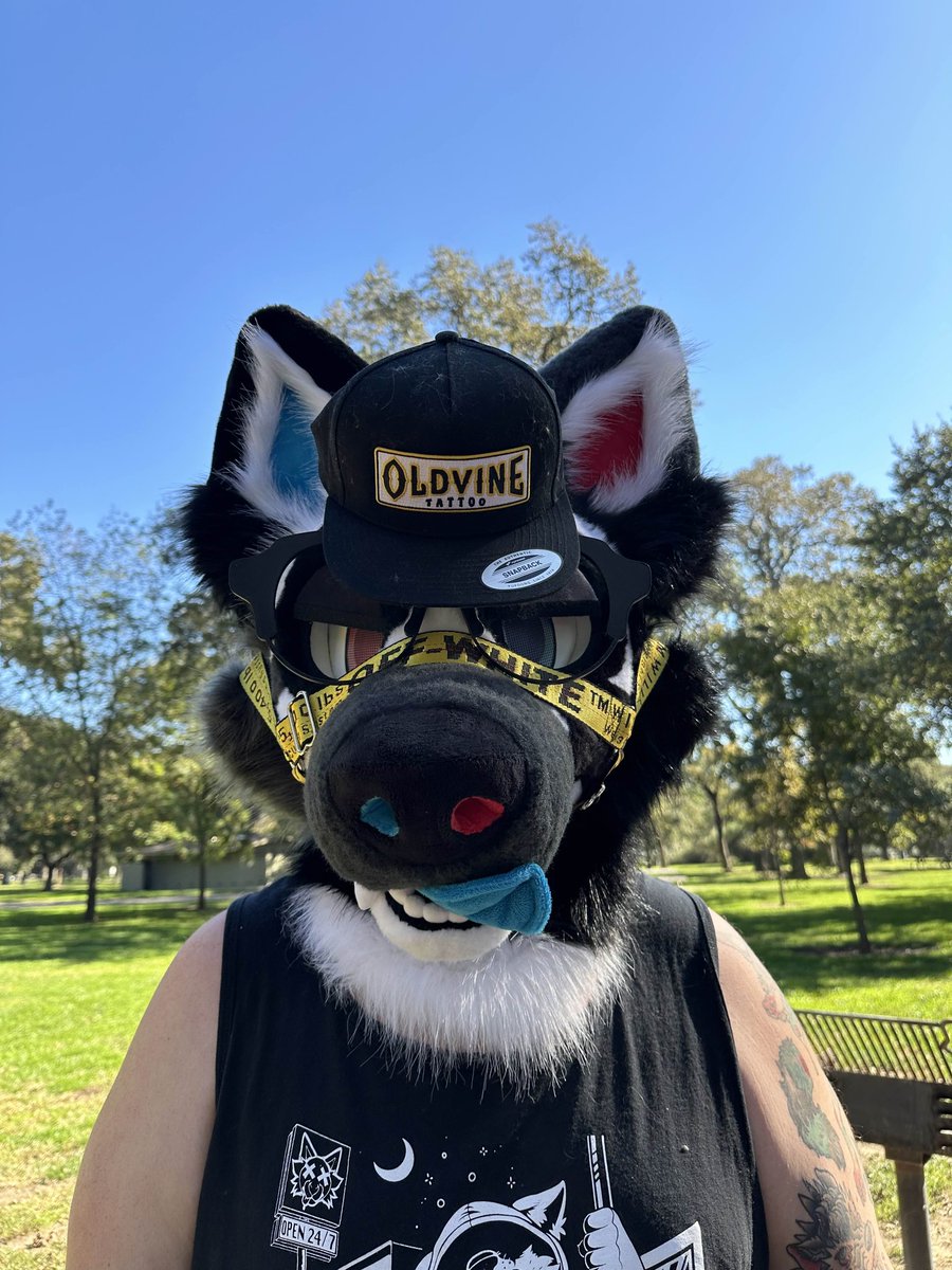 Silly Lil Fella 🔜TahoeTattooShow tweet media