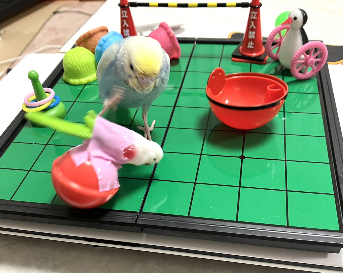 ほねギシみな見 on X