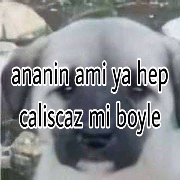 ANLIK (@anlikmod) on Twitter photo 