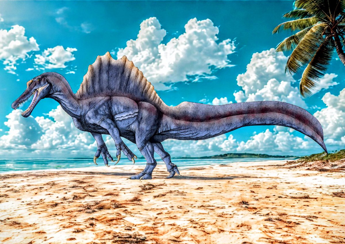 kta92751434's tweet image. ちょいとスピノサウルスの日には間に合いませんでしたが…
#スピノサウルス
#Spinosaurus