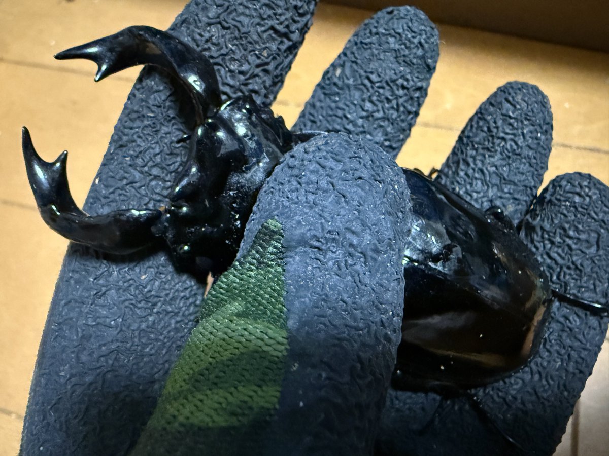 なめだんご on X