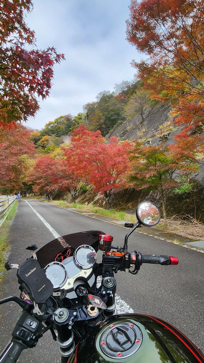 お香 ayumikan1125 Original Ec210 Ec210b Fuel Injector 02113695 0211-3695 D6e