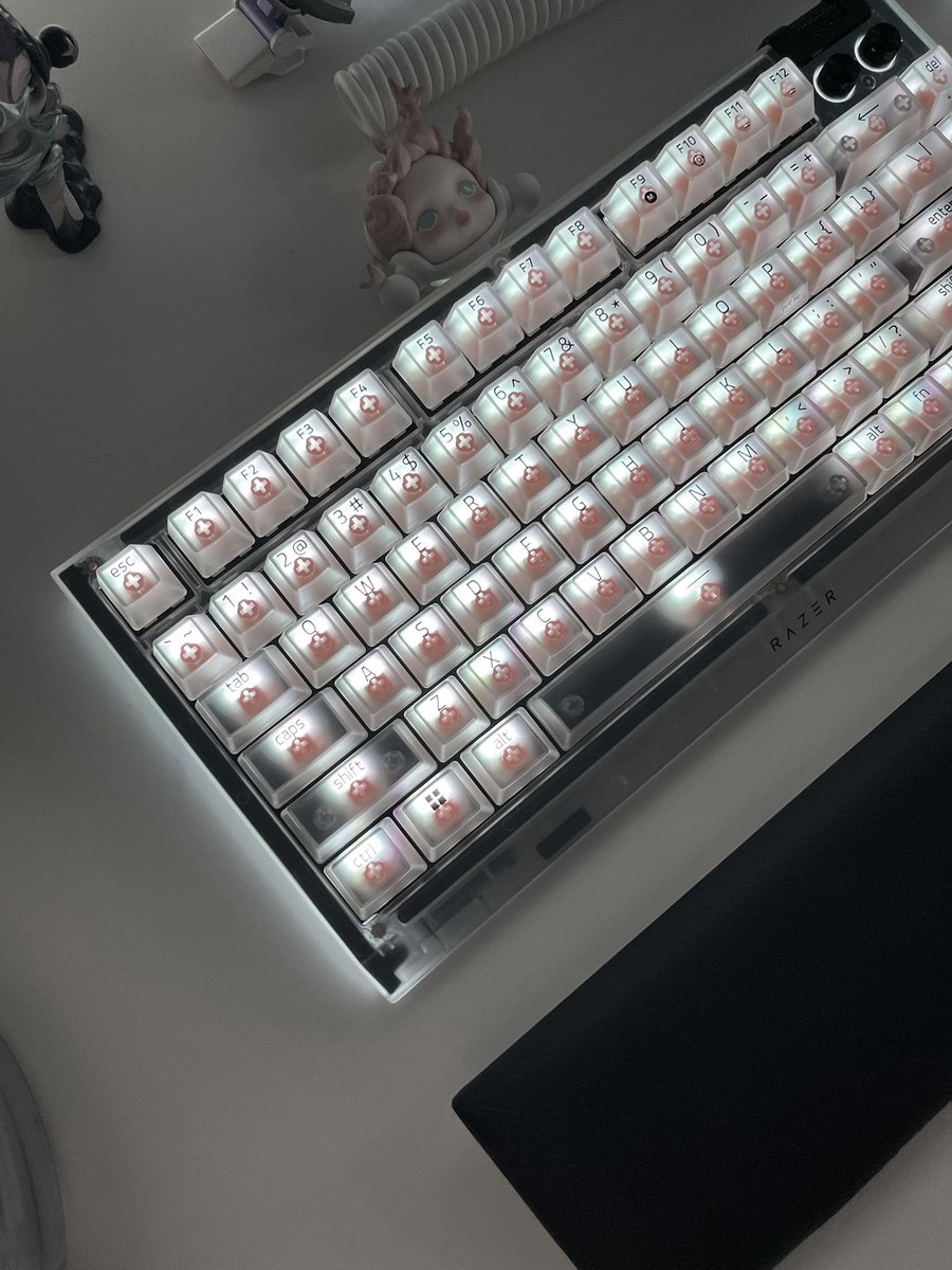 shuying ໒꒱ིྀ༝⁺ tweet media