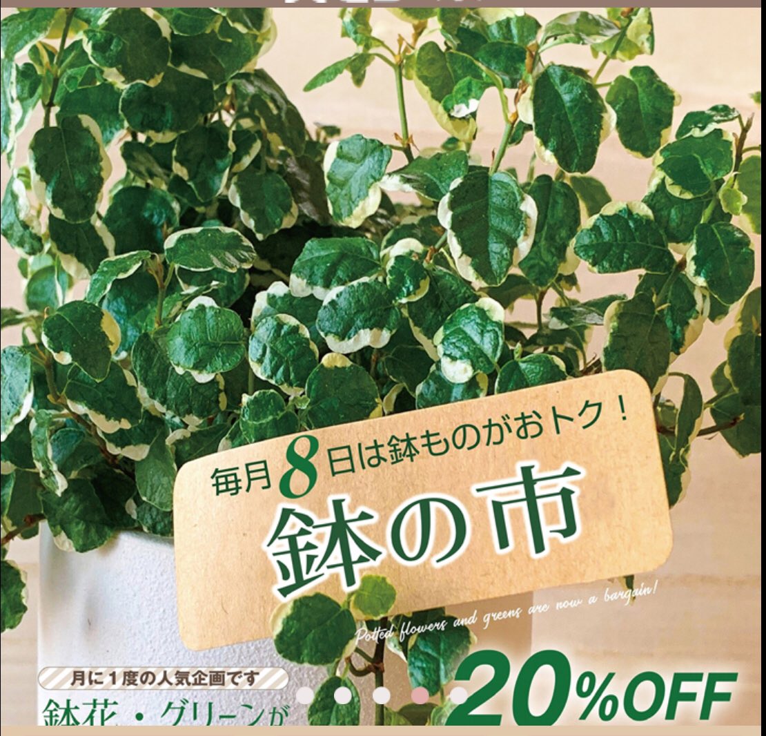 ラピアショップ情報 on X