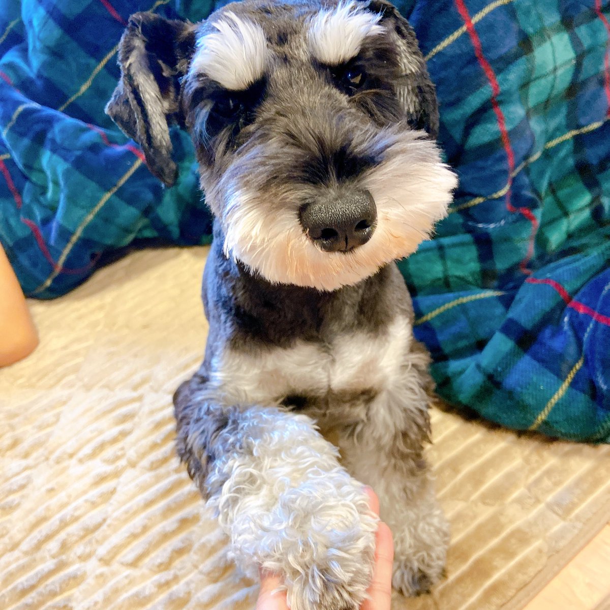 りいさページ りいさ💐LINE VOOMも見てね💐 (@riisa_room) / Posts / X