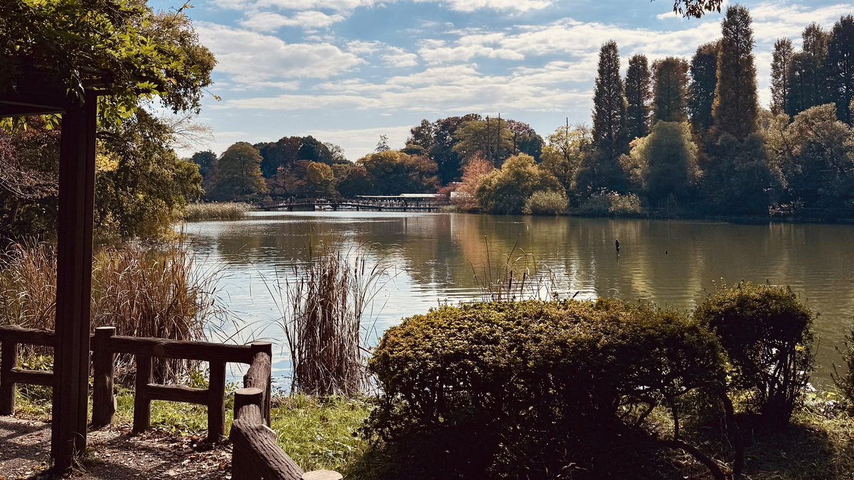 TAKAHIRO縁日 FILM Design Works on X