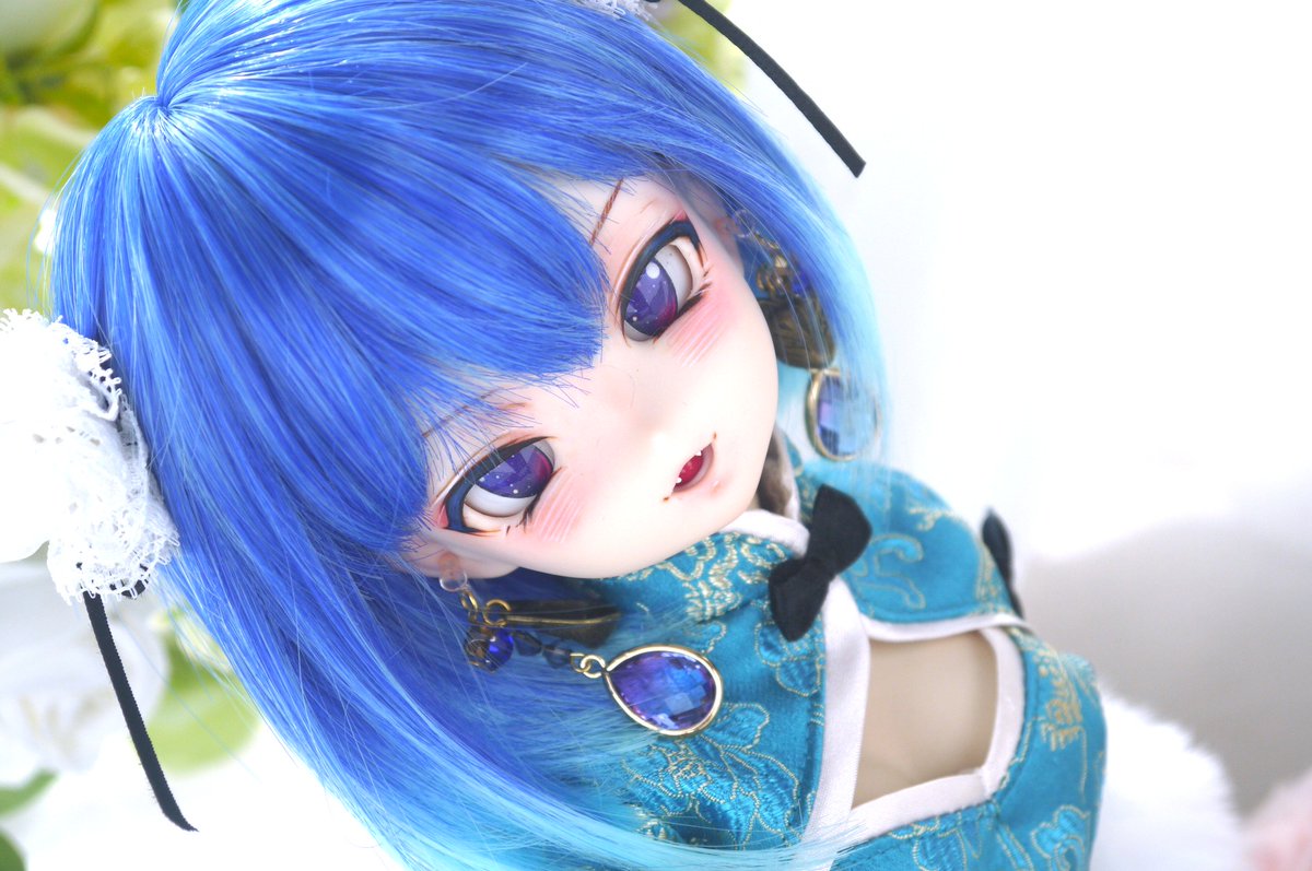 いぬこさま専用です。 いぬねこ on X