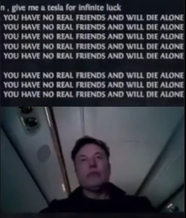 Haeley 'CryoKeen' Ai & Gamer Guy tweet media