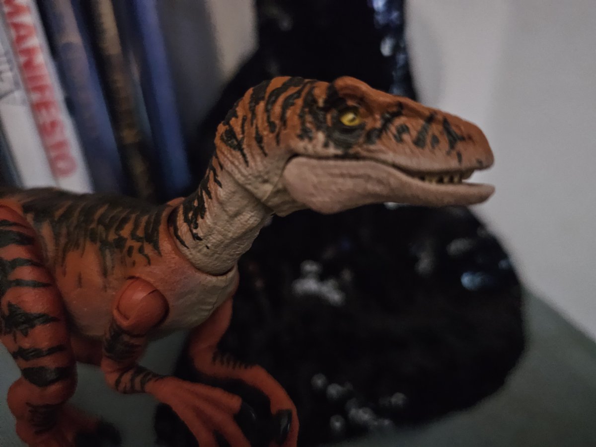 TMalcolm94's tweet photo. So, I got this guy for my birthday and I gotta say I'm not horribly bothered by the unfamous underbite. I actually liked him a lot! https://t.co/xACLS1ks3G