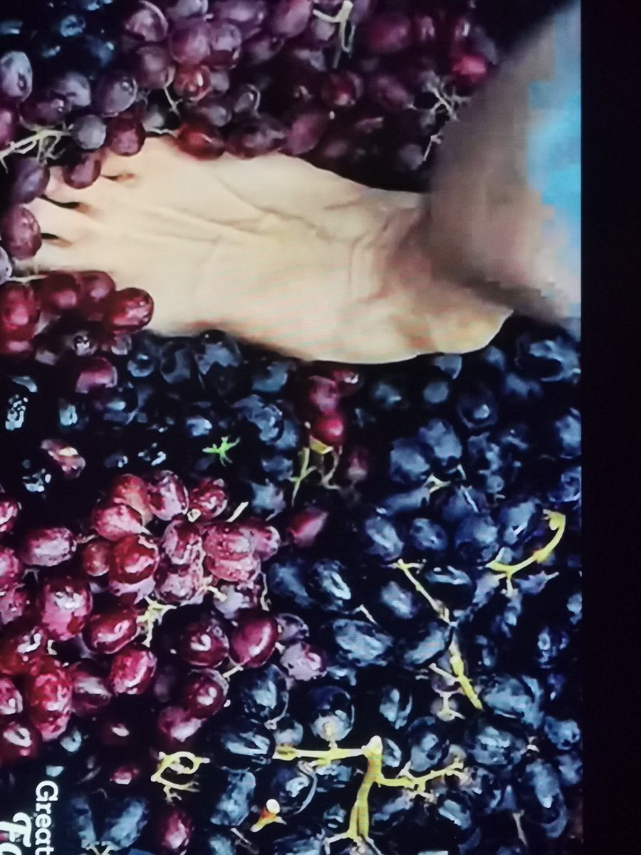 Wine knowledge is the ultimate movie-ruiner. Picture this: a four-time Decanter-winning master blender swoops in to save the heroine’s vineyard. He heroically dumps Riesling, Sauvignon Blanc, and Pinot Grigio into a bucket like it’s fruit punch. The grower calls the vines ‘Vitis