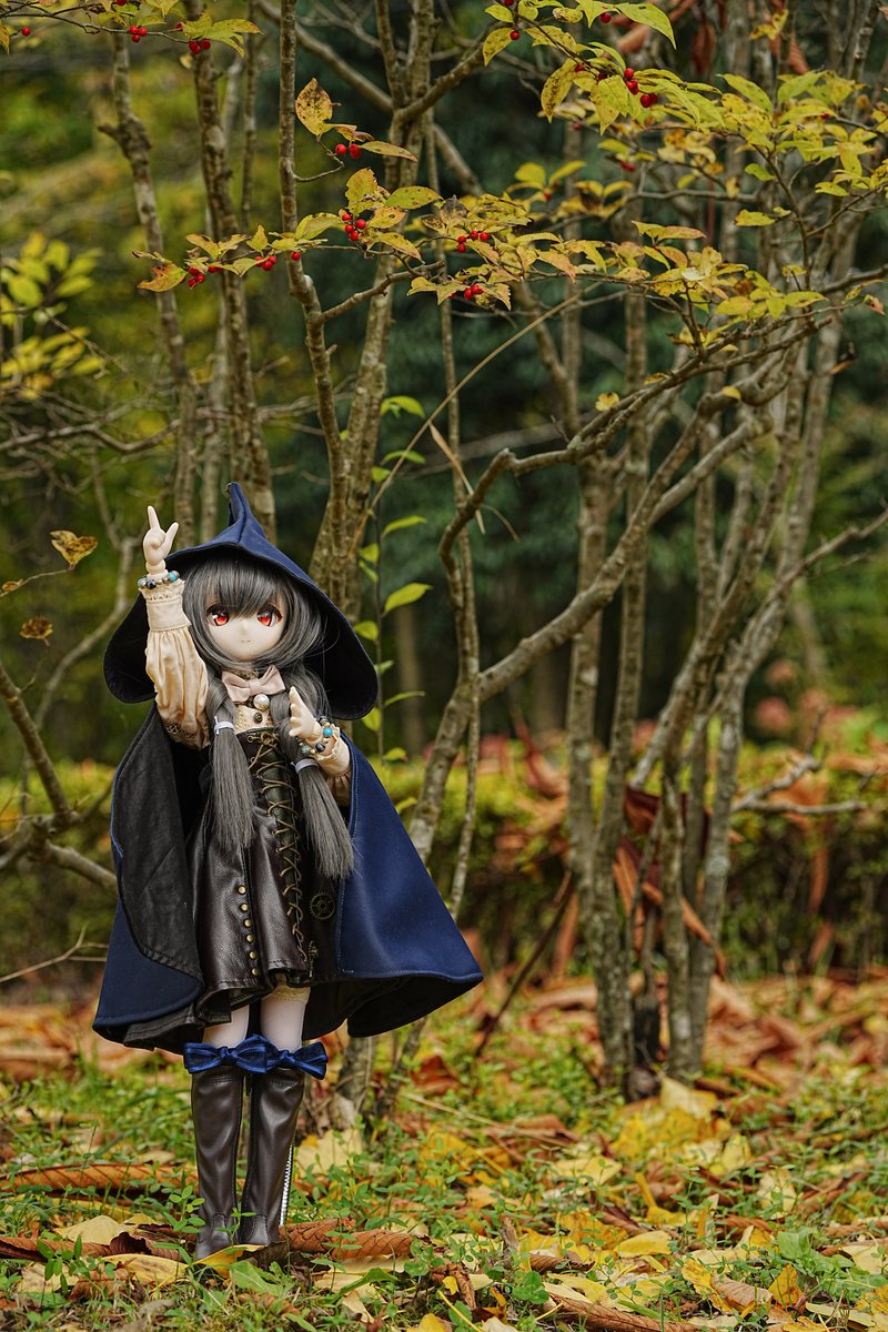 秋よ止まれ！秋の魔法～！