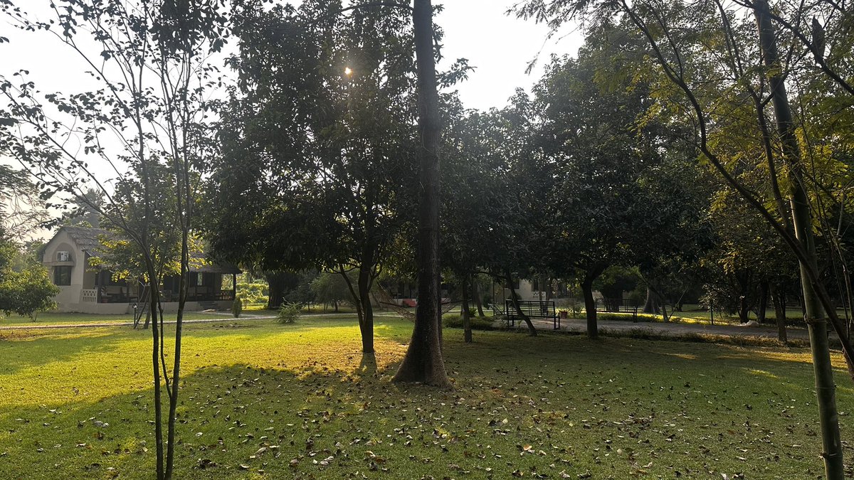 Lumbini Buddha Garden tweet media