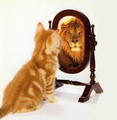 studywsasa_'s tweet image. ai chega n vou mexer em nada de redação mais oq for pra ser vai ser no dia eu me viro com oq tiver vamos ter um pouco de confiança tbm