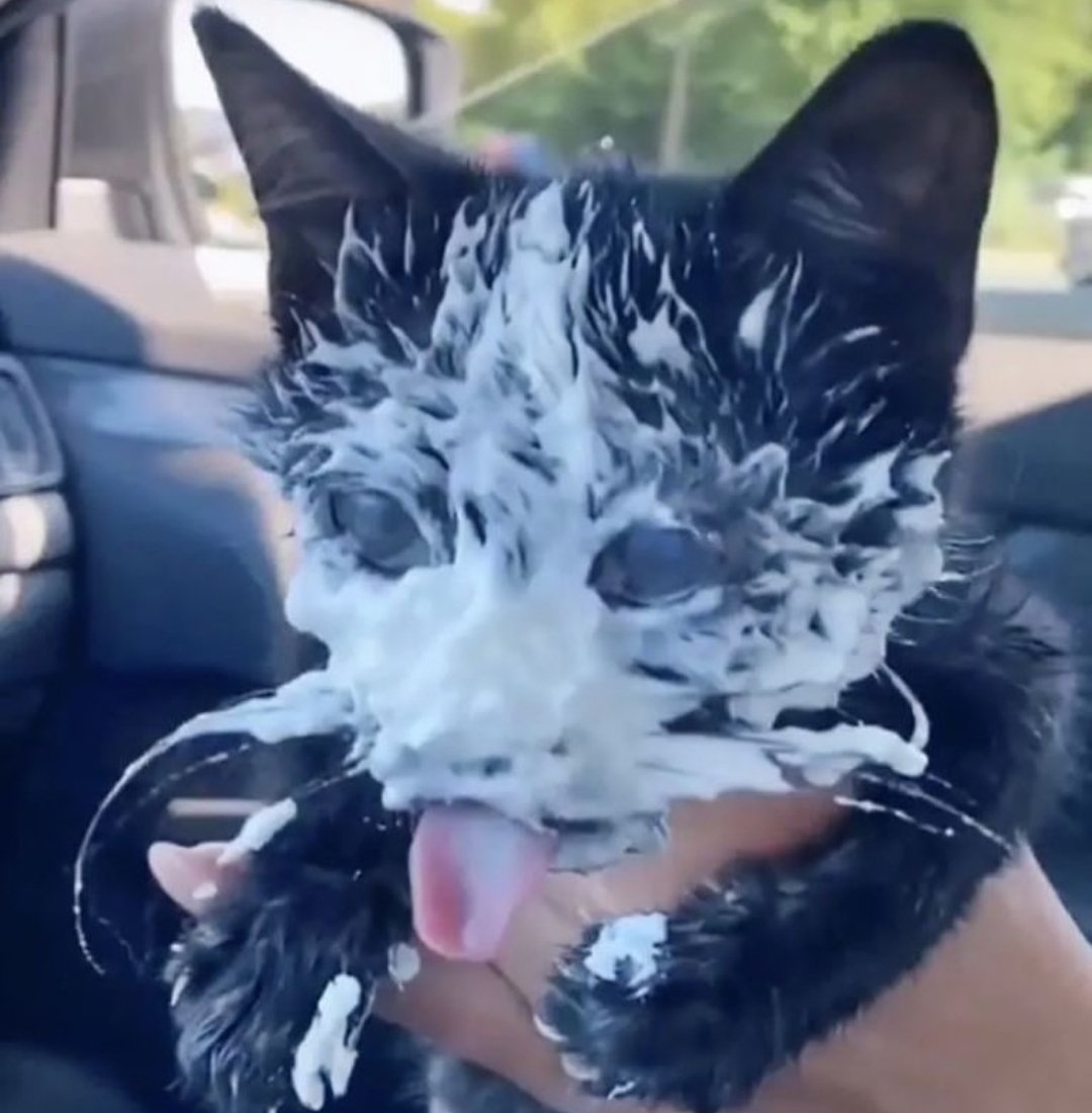 Ich bin erwachet – jedoch um welchen Preis?!