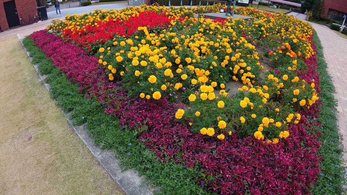 お花綺麗でした！