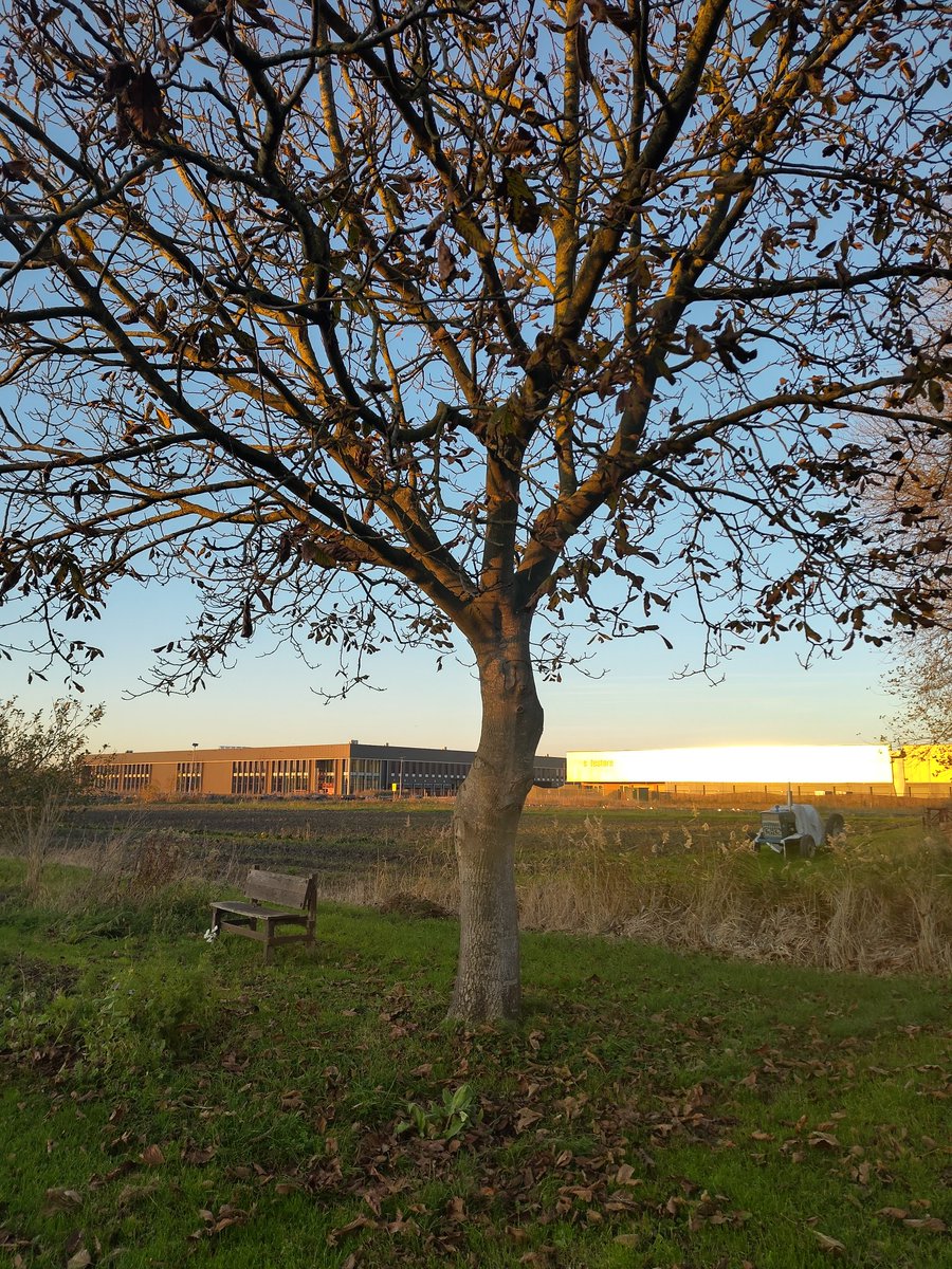 Dit is ook Amsterdam. Stap voor stap wordt de vruchtbare zeekleigrond vernietigd voor distributiehallen. Ze staan grotendeels leeg. Amerikaanse investeerders, big Pharma vernietigd onze leefomgeving. Bestuurders van de stad zien geen probleem.  
Ga eens kijken 
#Lutkemeerpolder