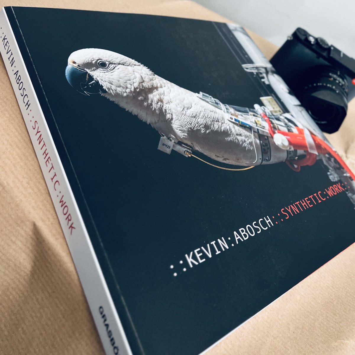 312 pages. 2.6 kg. 30x30cm / synthetic photographs from 2015-2025. Book signing 13th November 5PM <a href="/ParisPhotoFair/">ParisPhoto</a> at <a href="/taex_com/">TAEX</a> (Booth F09) *camera in photo for size comparison only 😅