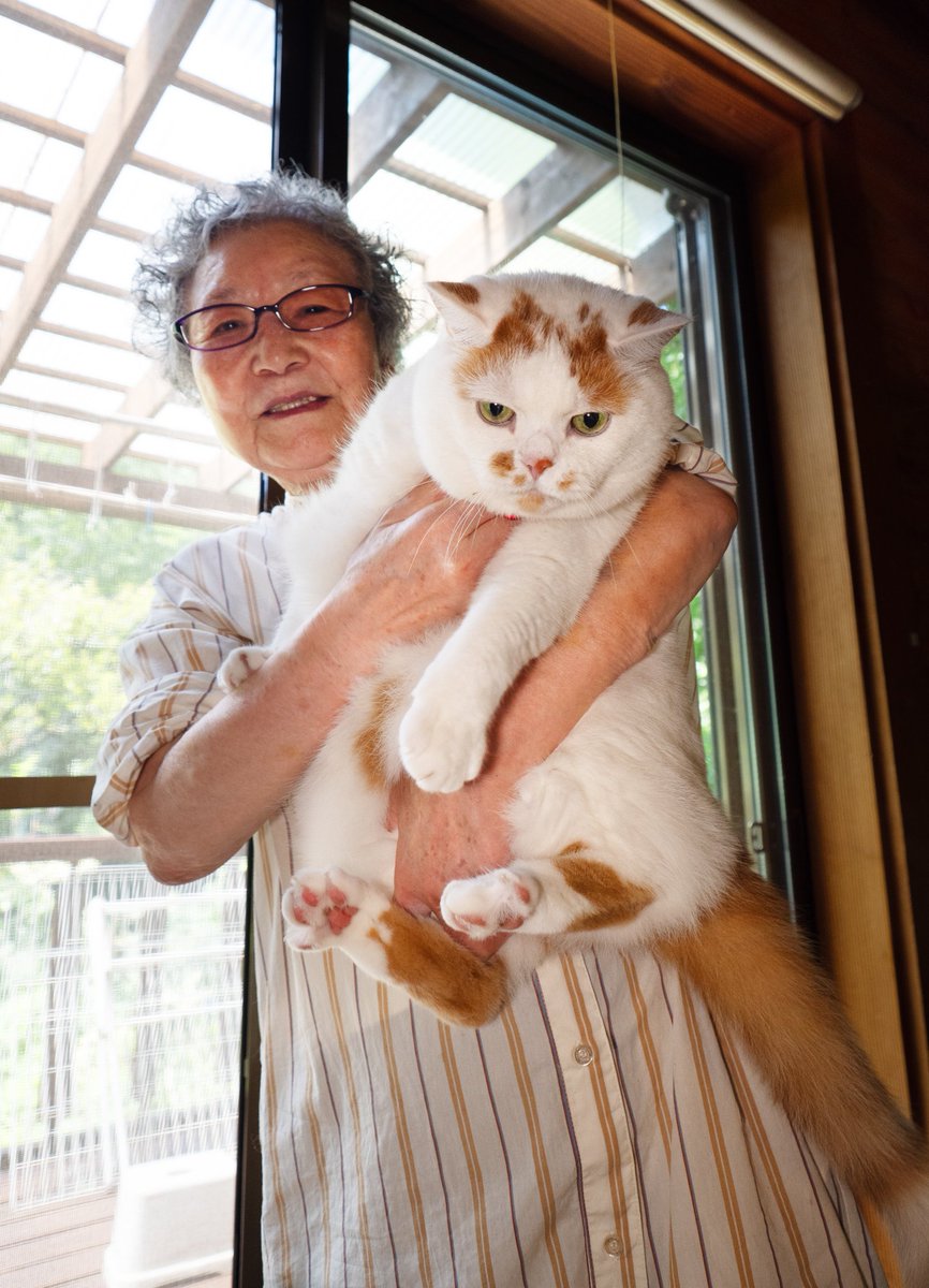 MARCO 🟡写真集「メイ先輩」🟡 (@marco74444) / Posts / X