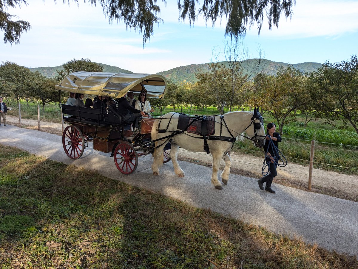 久々に滋賀ってた