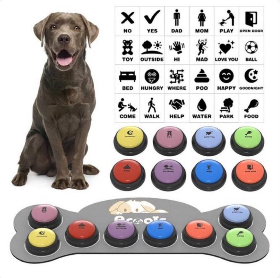 sourcreampradas's tweet image. Im going #nonresponsive #nonverbal