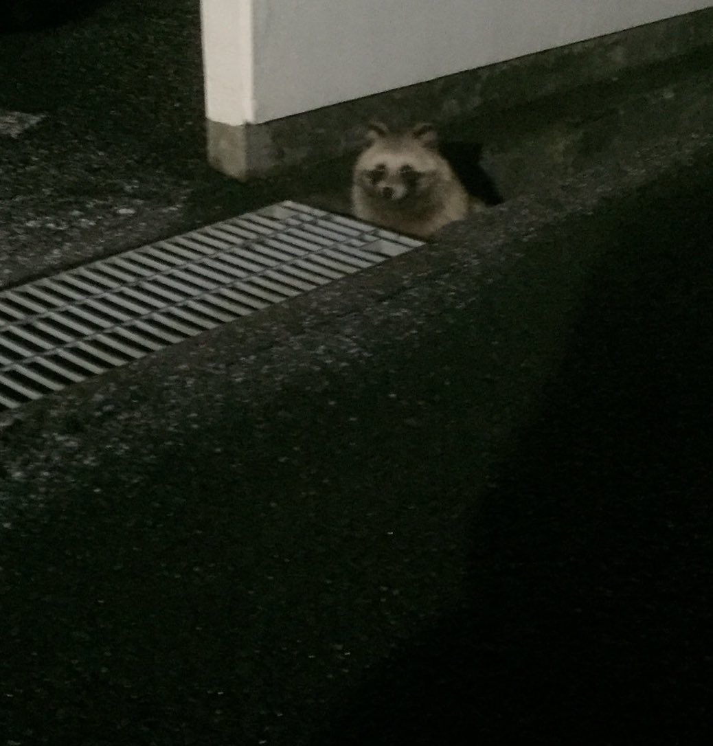 ♦️"I have arrived"