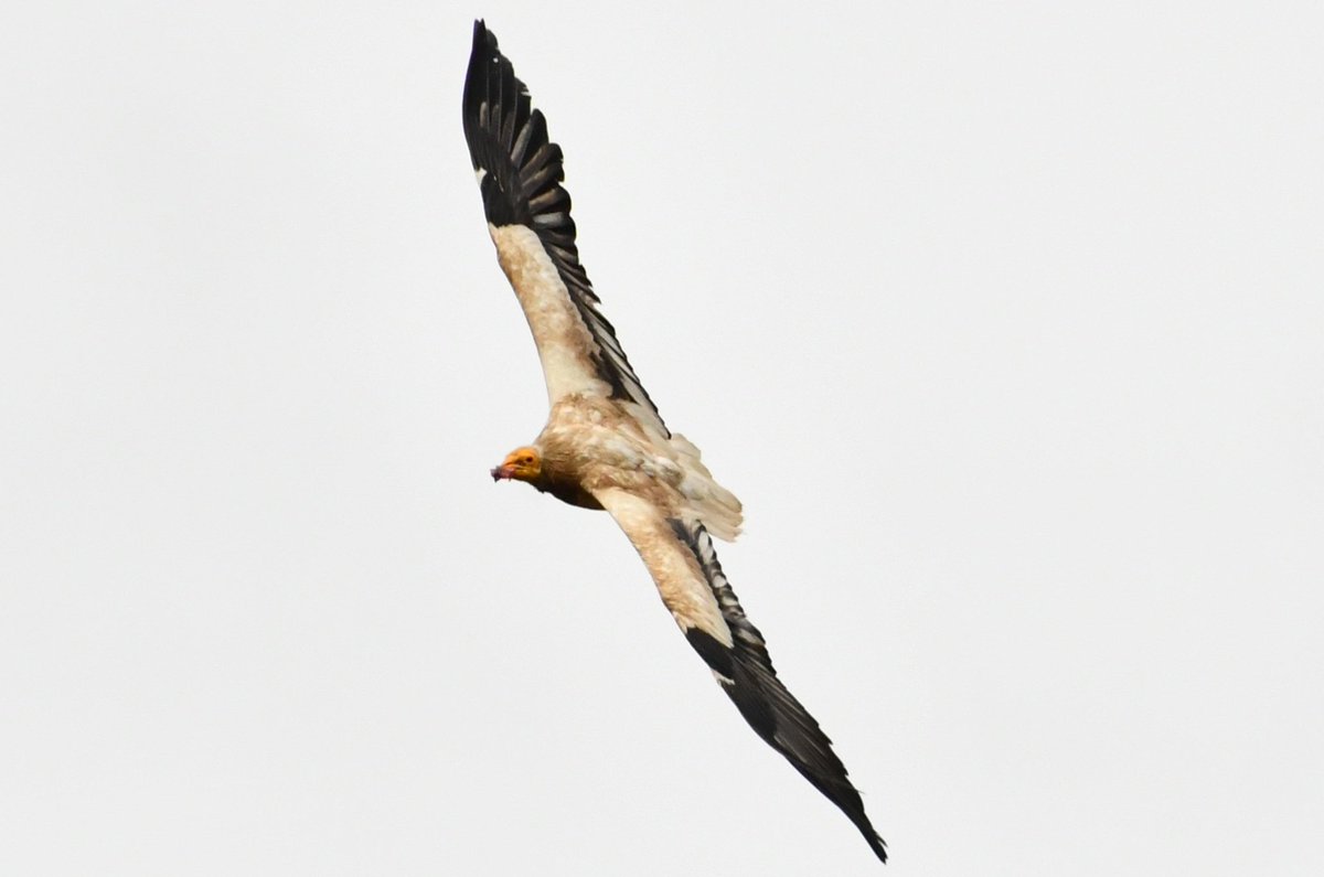 J@a.p (@jose_ap19) on Twitter photo 