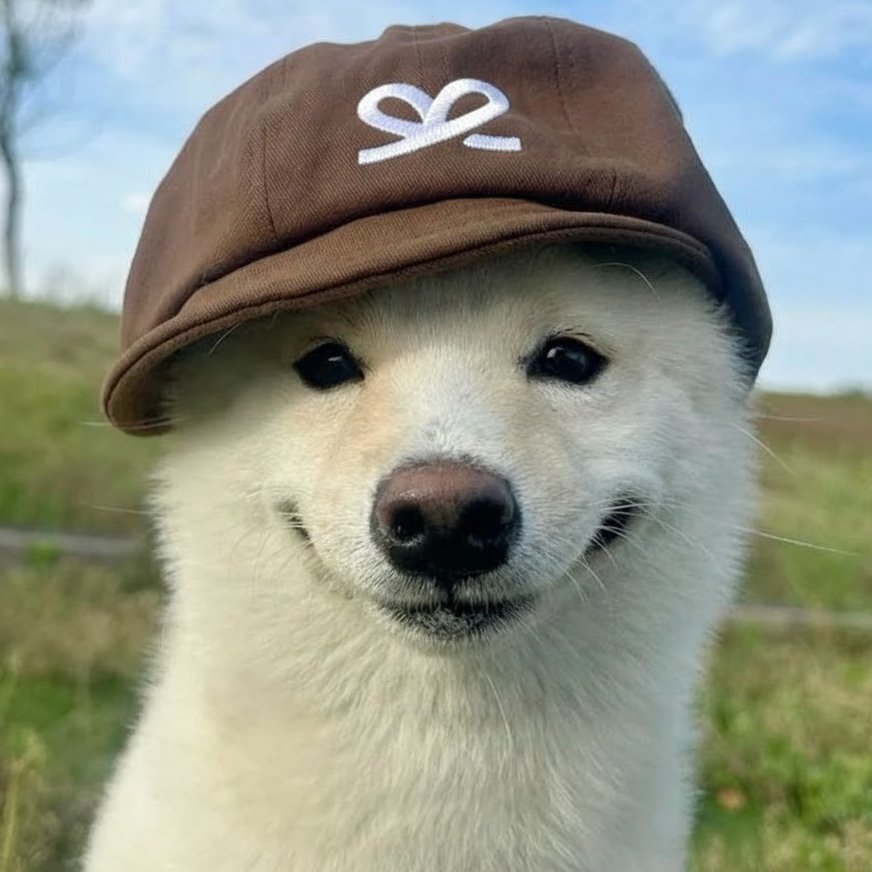 MaxSee_io's tweet photo. Gm ☀️

Hope everyone has a pleasant weekend!

Go relax and recharge. We'll be here building, because that "growth" you're stressing about?

It just comes standard with Maxsee. 😉 https://t.co/Nx9vWh5hSC