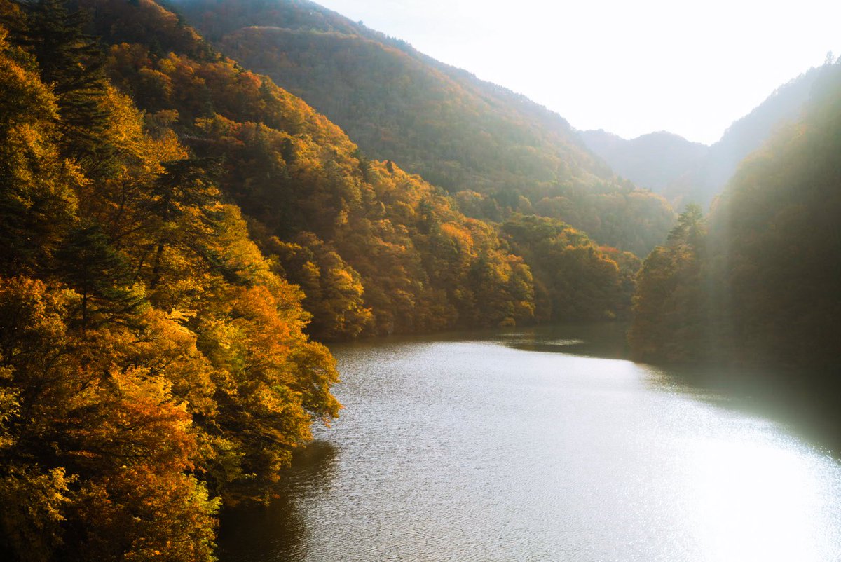 只見線、なかなかでした...！紅葉の時期故満席ではありましたが...