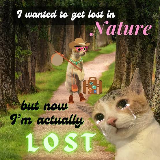 aurawrah tweet media