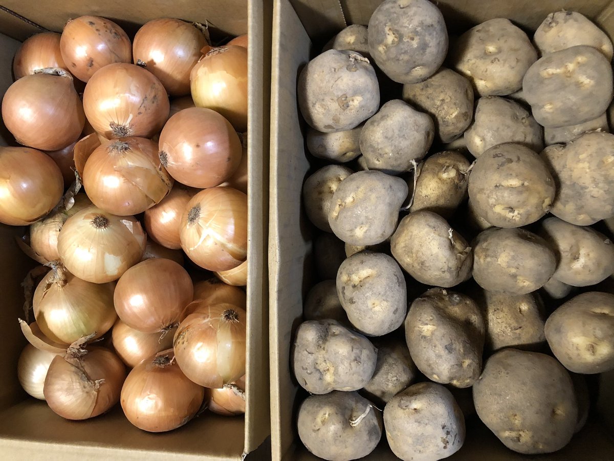 さあ〜て今日のサザエさんは🖐️
🐈‍⬛わかめパンチラスカートやめてロングスカートに。
🐈‍⬛たえこ、ロマンス詐欺にあう。
🐈‍⬛さちこ日曜大工し報酬もらう
の３本です✨

じゃんけん✊✌️✋

今日は、うちのママさんの友達が腰を痛めて組み立てられないというので代わりに組み立てたんだあ。