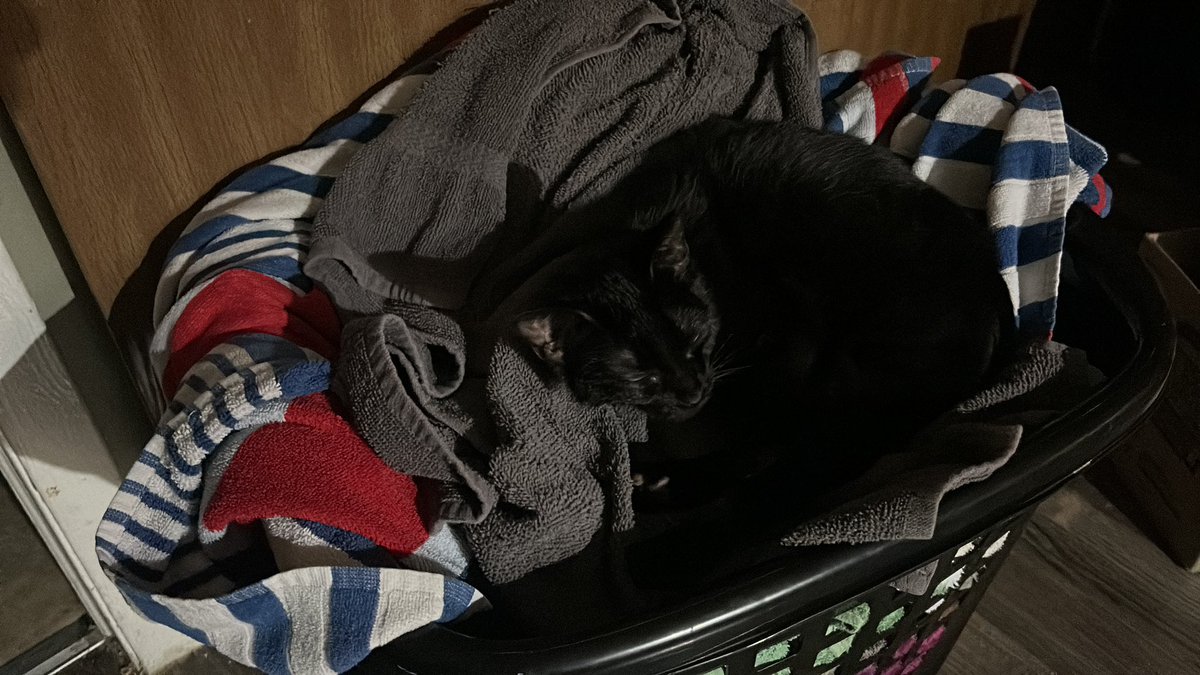 rowencloud1's tweet image. #mitam