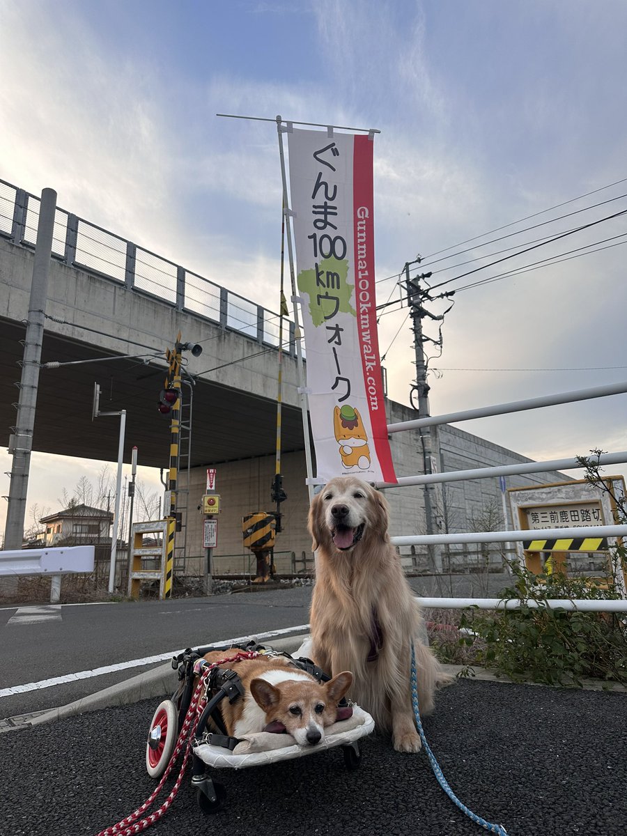 みんながんばれー🐾