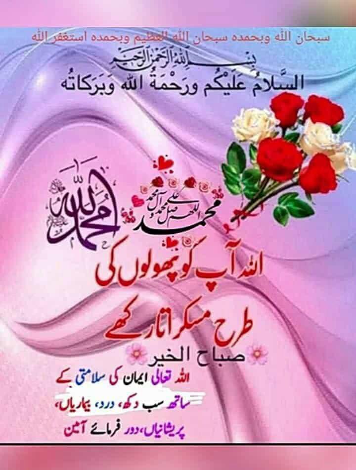 mjkiani's tweet photo. @ikhtiarwali https://t.co/3iQJok9cYM