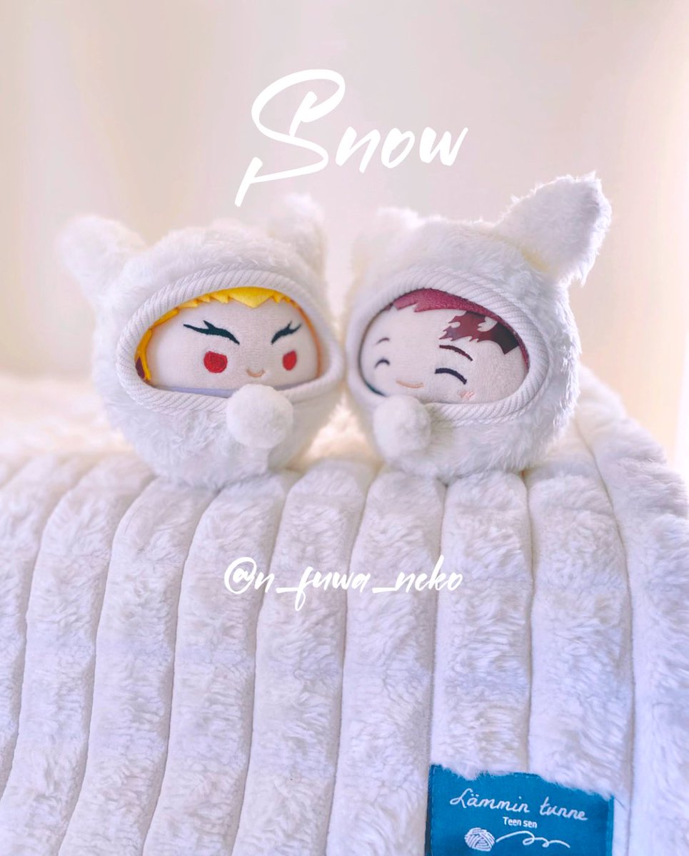 N.(ふわねこ) on X