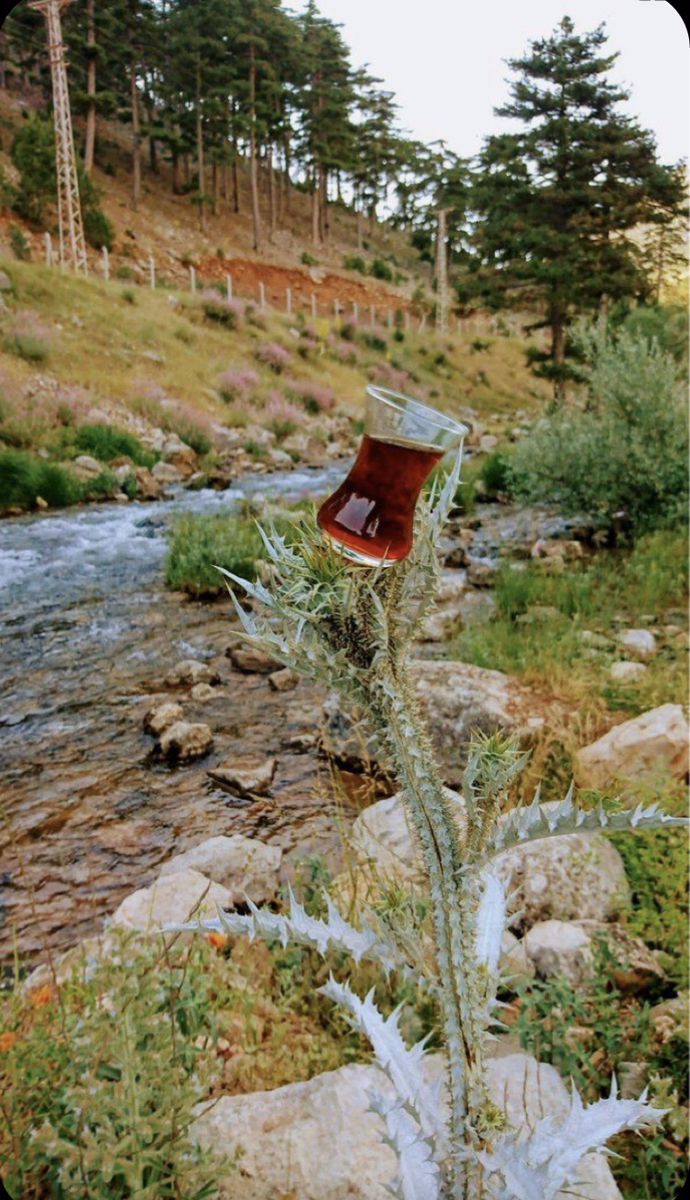 Haberim yokmuş gibi çek kanka.. 

Günaydın günaydın..