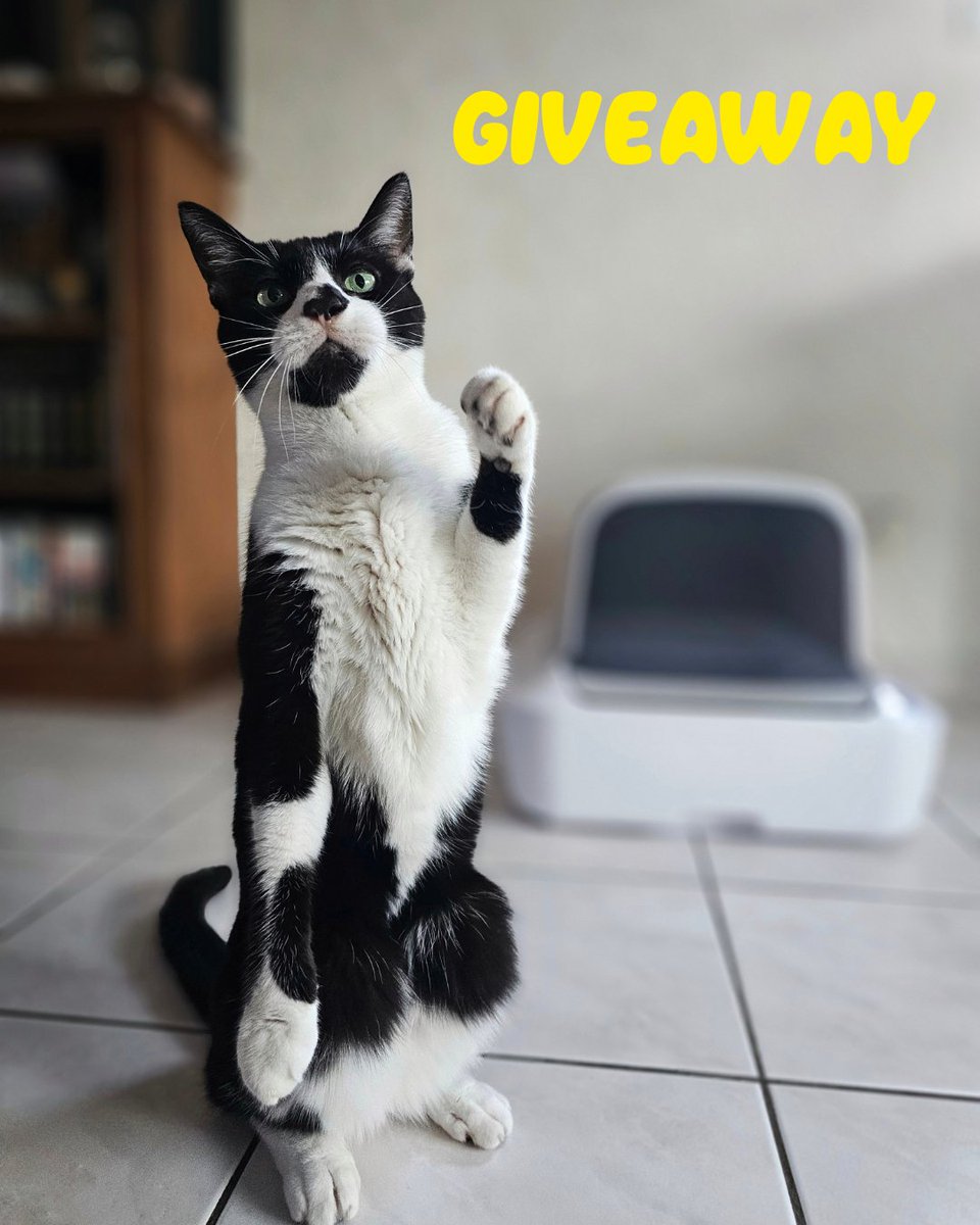 PetSafeEurope's tweet photo. We are giving you an opportunity to win the ALL NEW ScoopFree Pro
To enter: Like this post, repost &amp; follow @PetSafeEurope https://t.co/ynvS8eB6qf