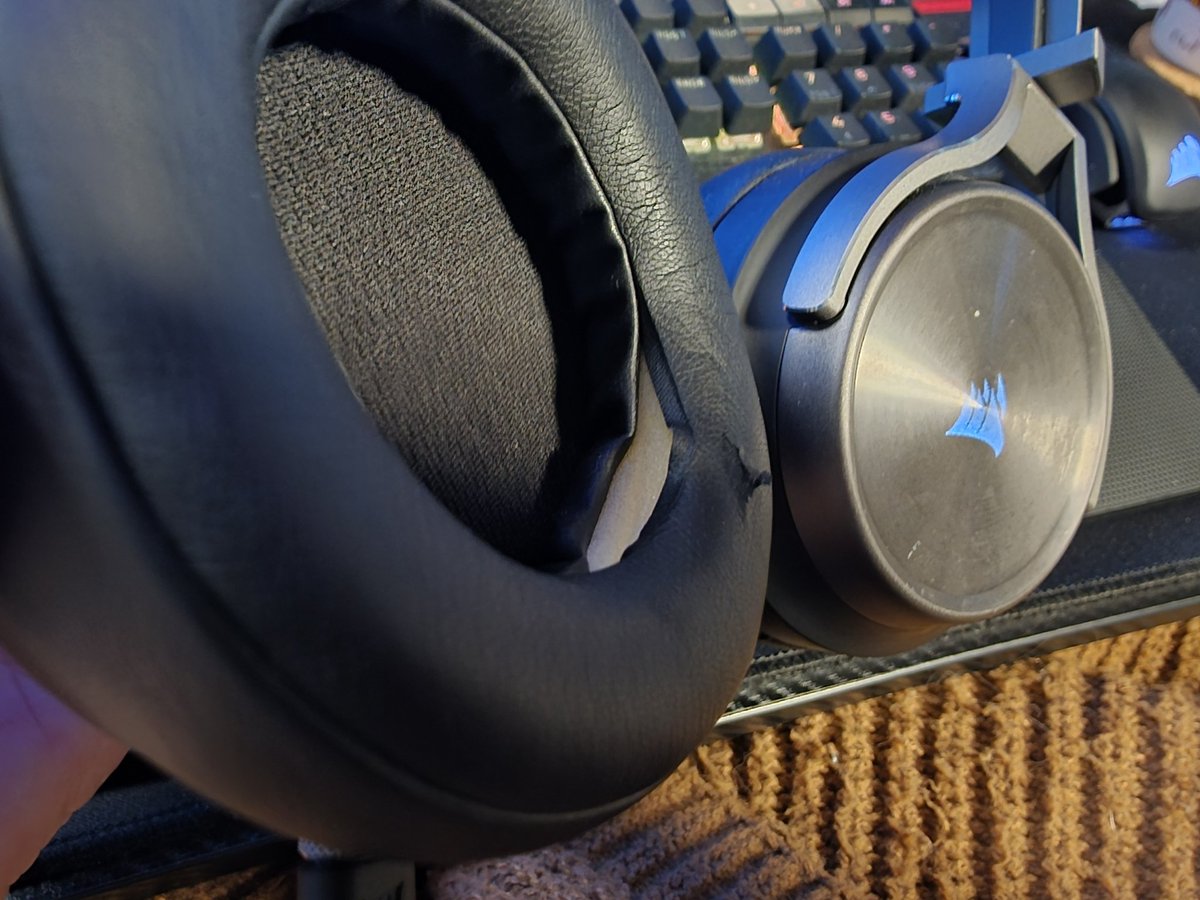 Leider hab ich es geschafft die irgendwie schon zu... beschädigen 😭

Aber sie sind doch noch so jung! 😭