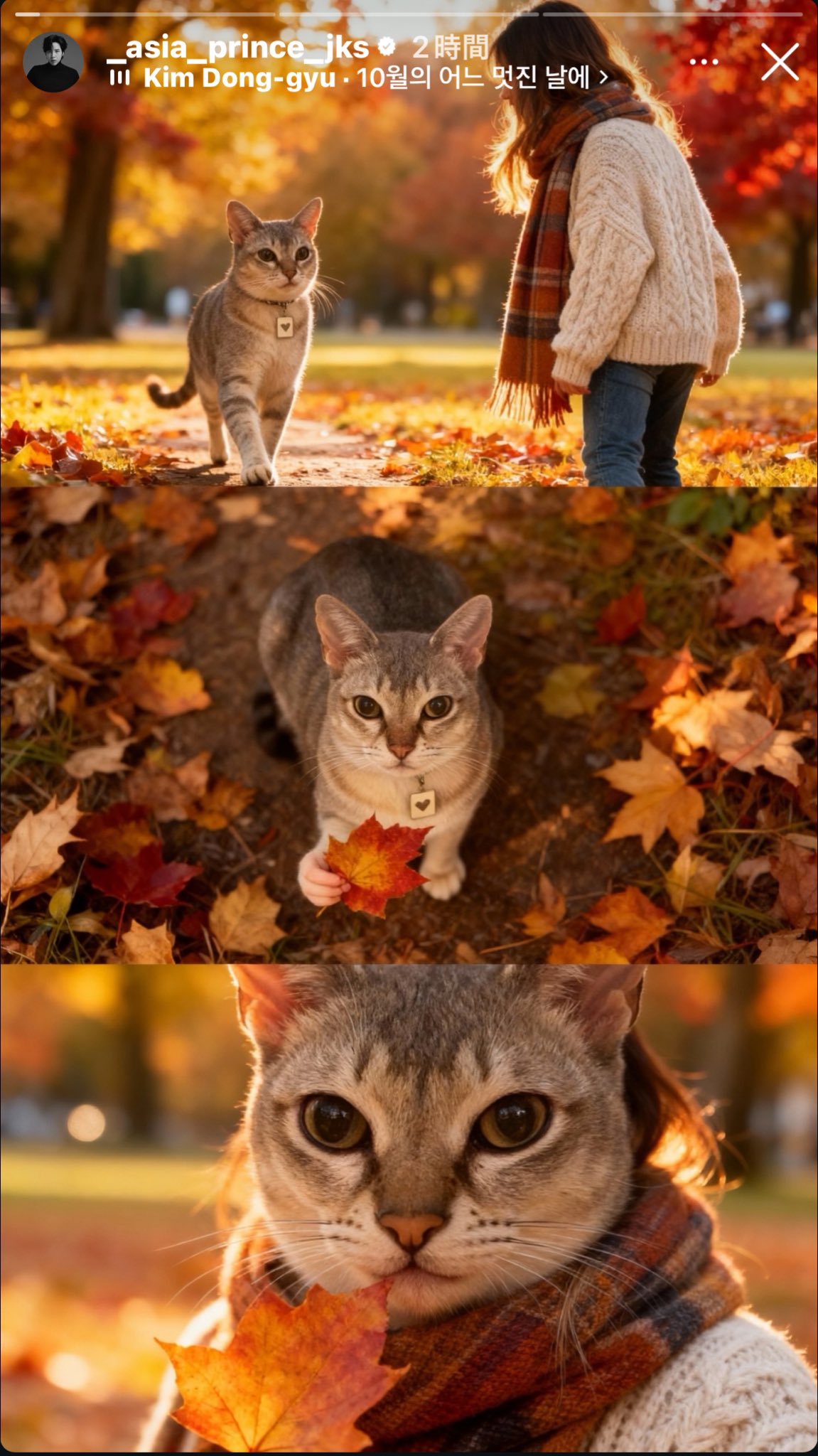 グンちゃん！AIでチャンゴ！ | 追憶ー2