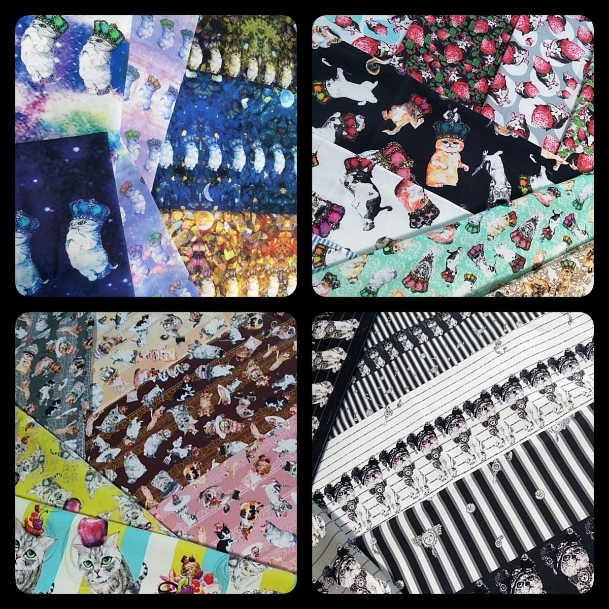 虹猫本舗 カオリ【デザフェス I-237.238.239】 (@nijinekohompo