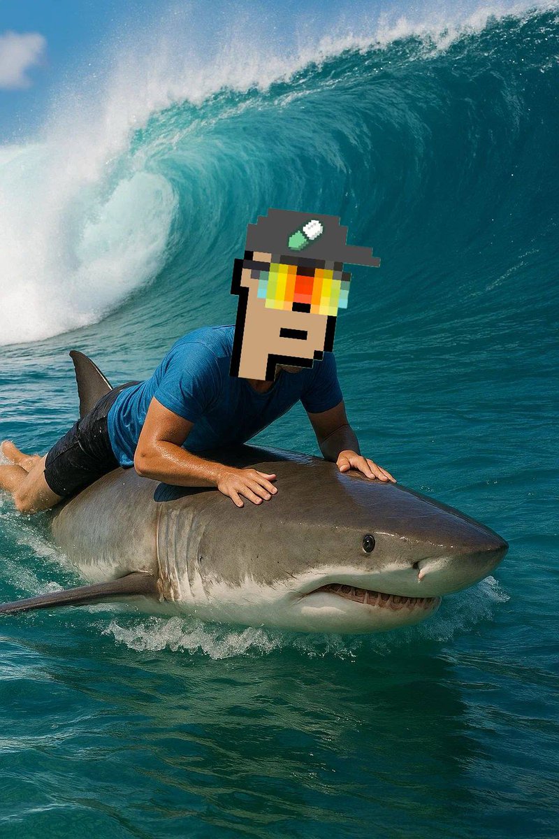 PUMP PUNKS tweet media