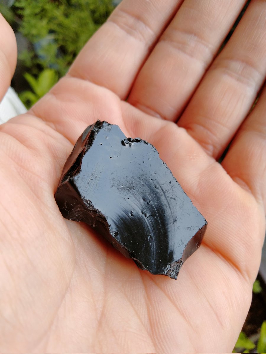 ｵﾌﾞｼﾃﾞｨｱﾝ