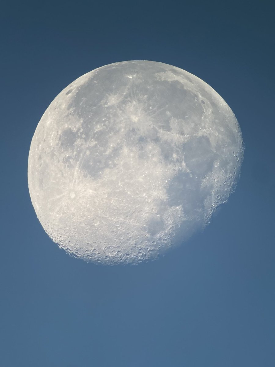 The moon looking amazing, just after dawn this morning 8/11/25 #moon