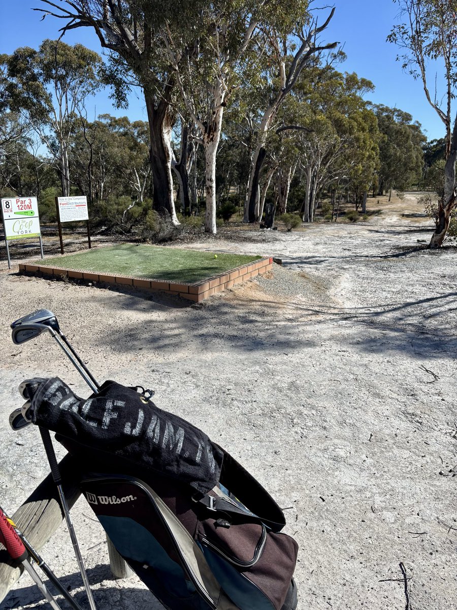 GolfJamTweets's tweet photo. Go Ahead Ed, under down under at York Golf Club. https://t.co/t3N8jIIvMX