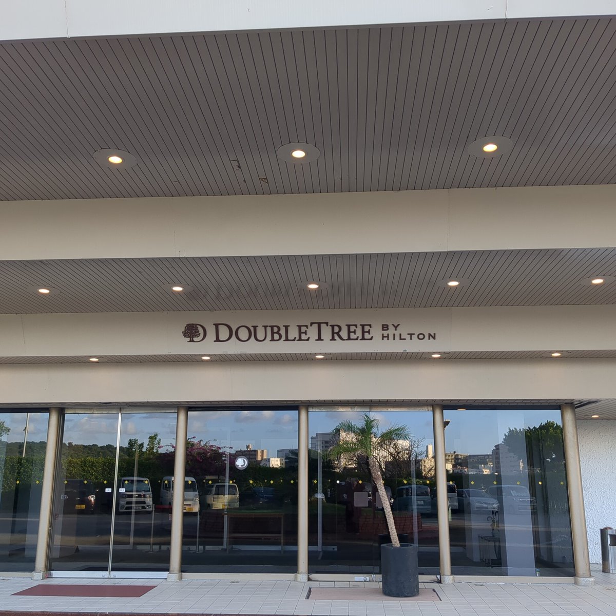 ぴょんぴょん (@GMRfizW3bf1ssjH) / Posts / X